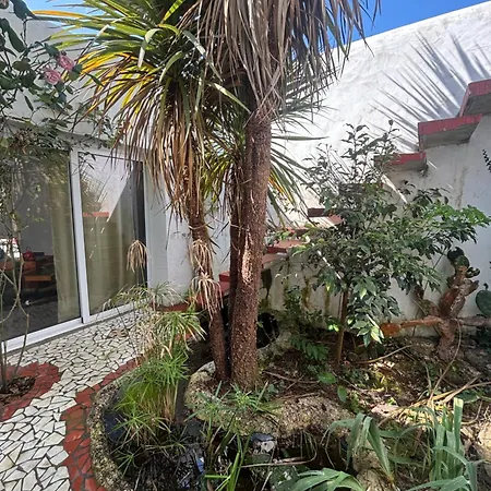 La Casba 15 Mm Contis *